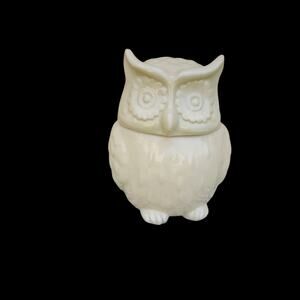 Vintage Threshold Owl Cookie Jar –  Beige Crackled Stoneware – 10”x7.5”